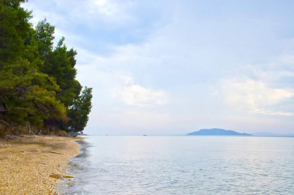 Elia Apartments Sithonia Екстериор снимка